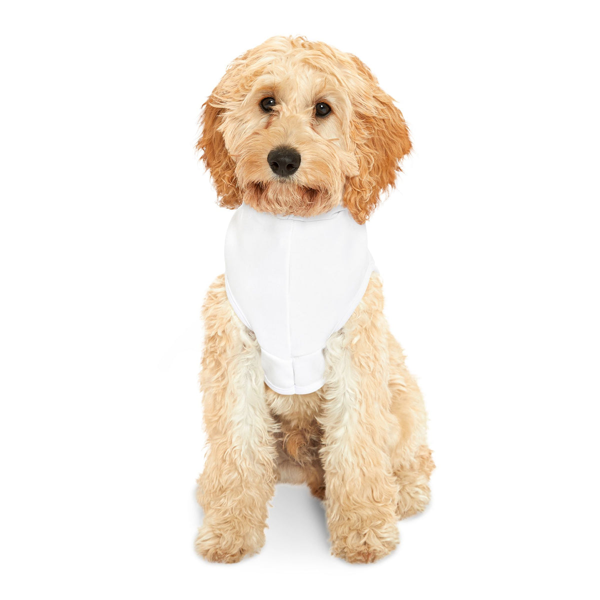 Zero Woofs Given – Pet Hoodie (Dog & Cat)